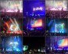 Fan Photos.