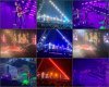 Fan Photos.